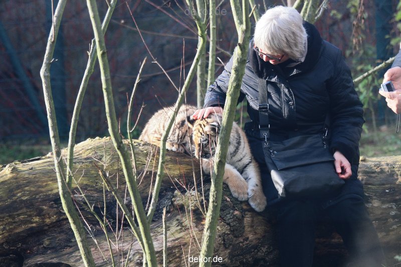 zoo-wuppertal-tschuna-daseep-03-029