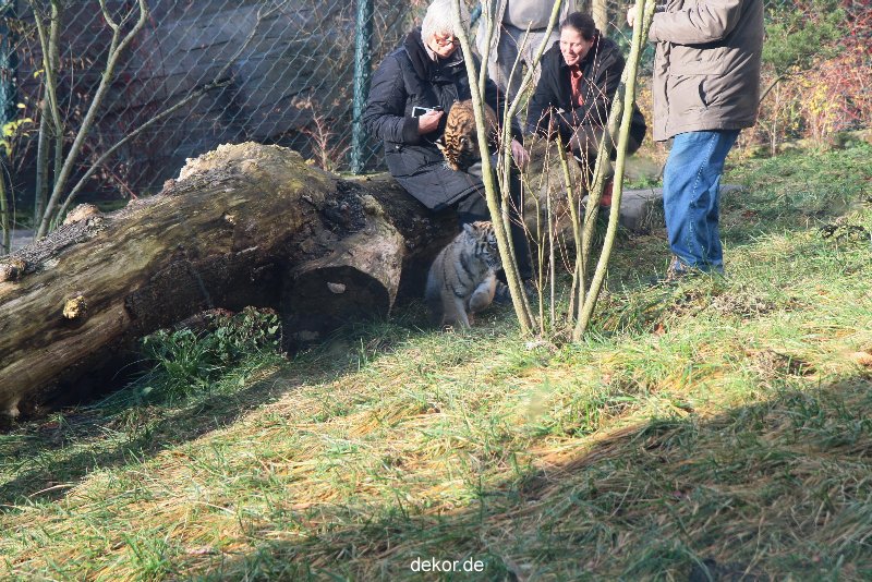 zoo-wuppertal-tschuna-daseep-03-043