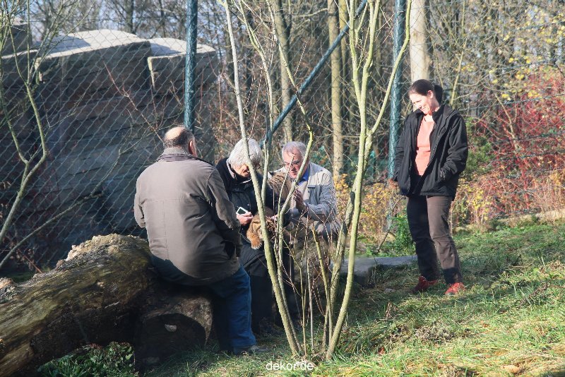 zoo-wuppertal-tschuna-daseep-03-046