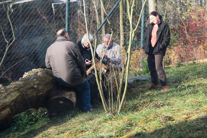 zoo-wuppertal-tschuna-daseep-03-047