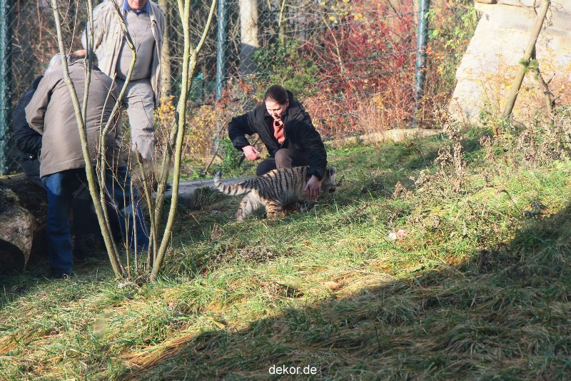 zoo-wuppertal-tschuna-daseep-03-055