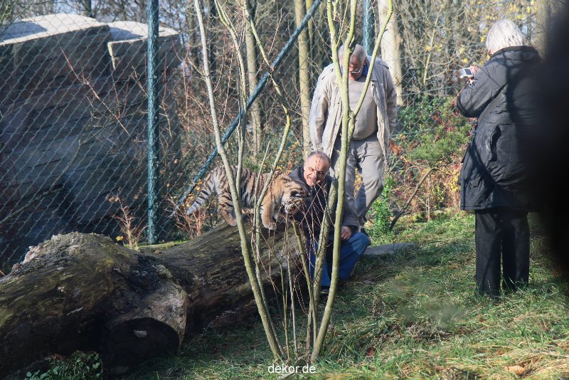 zoo-wuppertal-tschuna-daseep-03-076