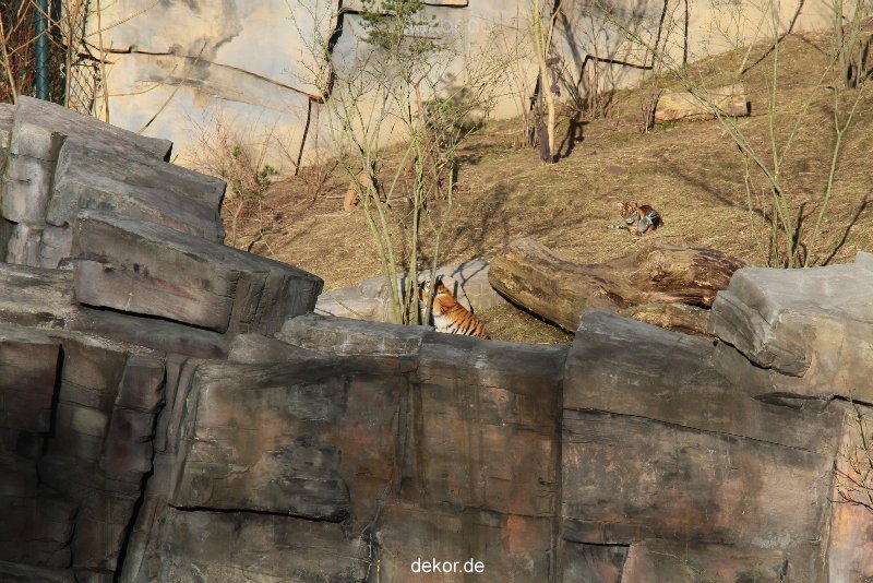 zoo-wuppertal-tschuna-daseep-07-036
