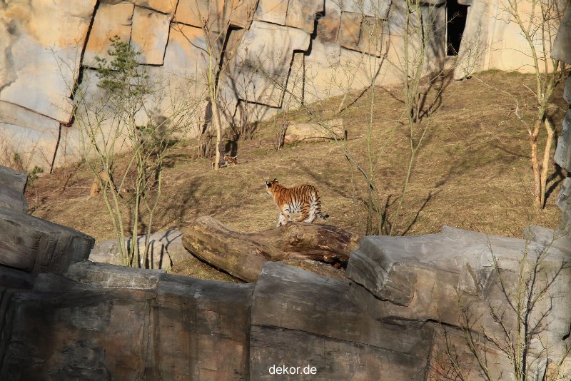 zoo-wuppertal-tschuna-daseep-07-055