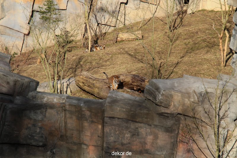 zoo-wuppertal-tschuna-daseep-07-062