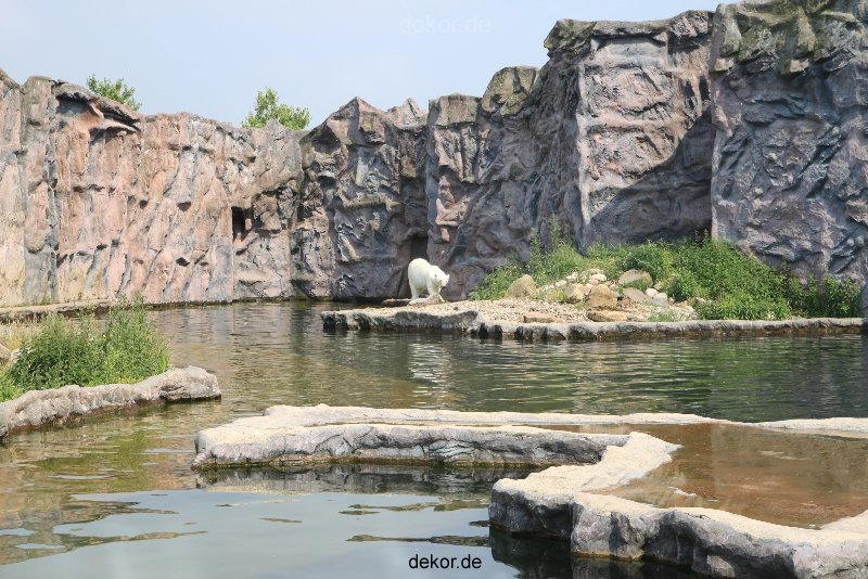 zoom-erlebniswelt-alaska-eisbaeren-023