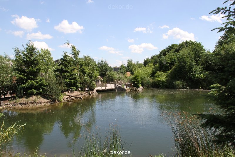 zoom-erlebniswelt-alaska-003