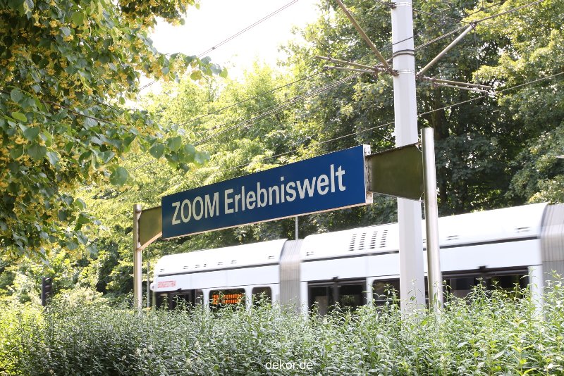 zoom-erlebniswelt-allgemein-008
