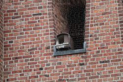 falkenhorst-sankt-antonius-2012-06-12-1-039
