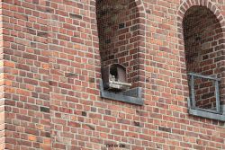 falkenhorst-sankt-antonius-2012-06-12-1-093