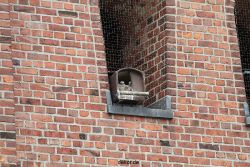 falkenhorst-sankt-antonius-2012-06-12-1-103