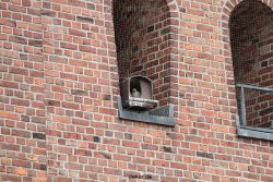 falkenhorst-sankt-antonius-2012-06-12-1-110