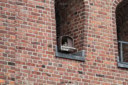 falkenhorst-sankt-antonius-2012-06-12-1-115
