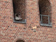 falkenhorst-sankt-antonius-2012-06-12-2-005