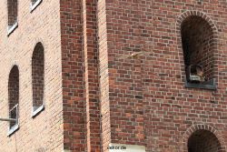 falkenhorst-sankt-antonius-2012-06-12-2-039
