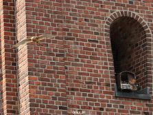 falkenhorst-sankt-antonius-2012-06-12-2-041