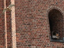 falkenhorst-sankt-antonius-2012-06-12-2-042
