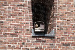 falkenhorst-sankt-antonius-2012-06-23-1-003