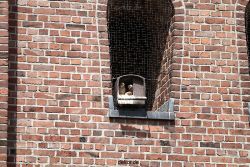 falkenhorst-sankt-antonius-2012-06-23-1-019
