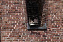 falkenhorst-sankt-antonius-2012-06-23-1-028