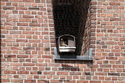 falkenhorst-sankt-antonius-2012-06-23-1-029
