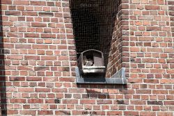 falkenhorst-sankt-antonius-2012-06-23-1-032