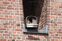 falkenhorst-sankt-antonius-2012-06-23-1-033