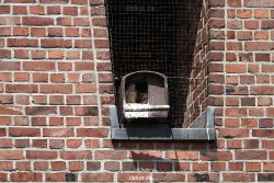 falkenhorst-sankt-antonius-2012-06-23-1-035