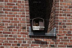 falkenhorst-sankt-antonius-2012-06-23-1-061