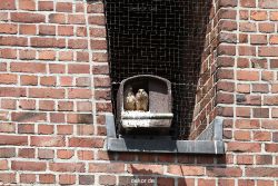 falkenhorst-sankt-antonius-2012-06-23-1-073