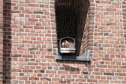 falkenhorst-sankt-antonius-2012-06-23-1-088