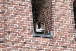 falkenhorst-sankt-antonius-2012-06-23-1-108