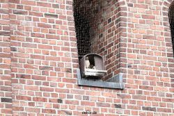 falkenhorst-sankt-antonius-2012-06-23-1-109