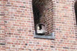 falkenhorst-sankt-antonius-2012-06-23-1-110