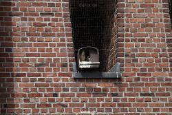 falkenhorst-sankt-antonius-2012-06-23-1-115