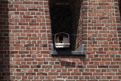 falkenhorst-sankt-antonius-2012-06-23-1-119