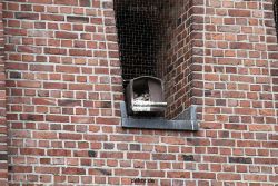 falkenhorst-sankt-antonius-2012-06-23-1-150