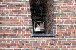 falkenhorst-sankt-antonius-2012-06-23-1-175