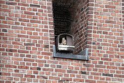 falkenhorst-sankt-antonius-2012-06-23-1-177