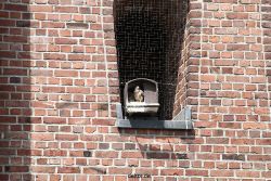 falkenhorst-sankt-antonius-2012-06-23-1-182