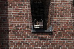 falkenhorst-sankt-antonius-2012-06-23-1-184
