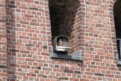 falkenhorst-sankt-antonius-2012-06-23-1-189