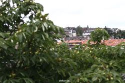 falkenhorst-sankt-antonius-2012-06-23-1-210