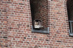 falkenhorst-sankt-antonius-2012-06-23-1-226