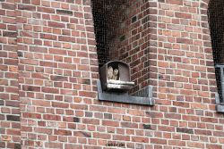 falkenhorst-sankt-antonius-2012-06-23-1-227