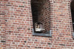 falkenhorst-sankt-antonius-2012-06-23-1-229