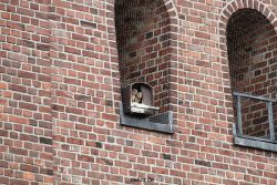 falkenhorst-sankt-antonius-2012-06-23-1-230