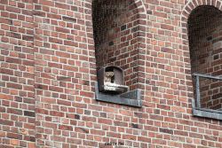 falkenhorst-sankt-antonius-2012-06-23-1-231
