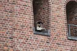 falkenhorst-sankt-antonius-2012-06-23-1-232