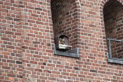 falkenhorst-sankt-antonius-2012-06-23-1-233